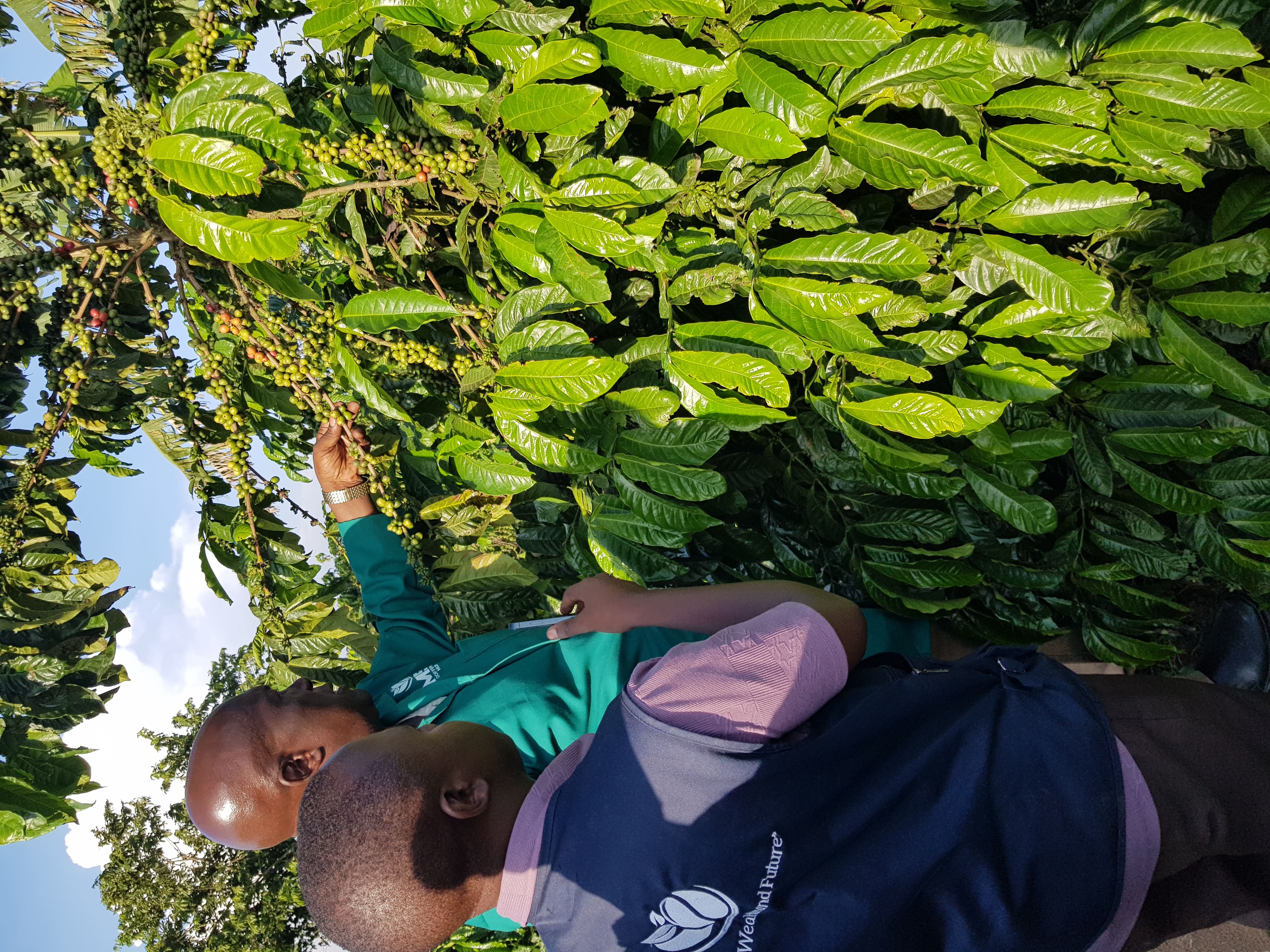 About MTB Coffee Works