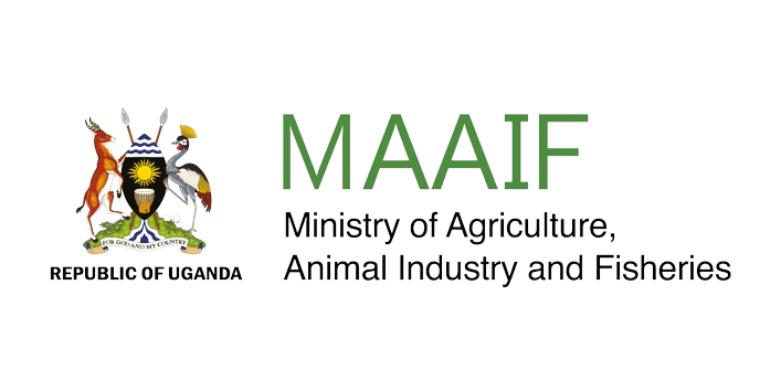 MAAIF