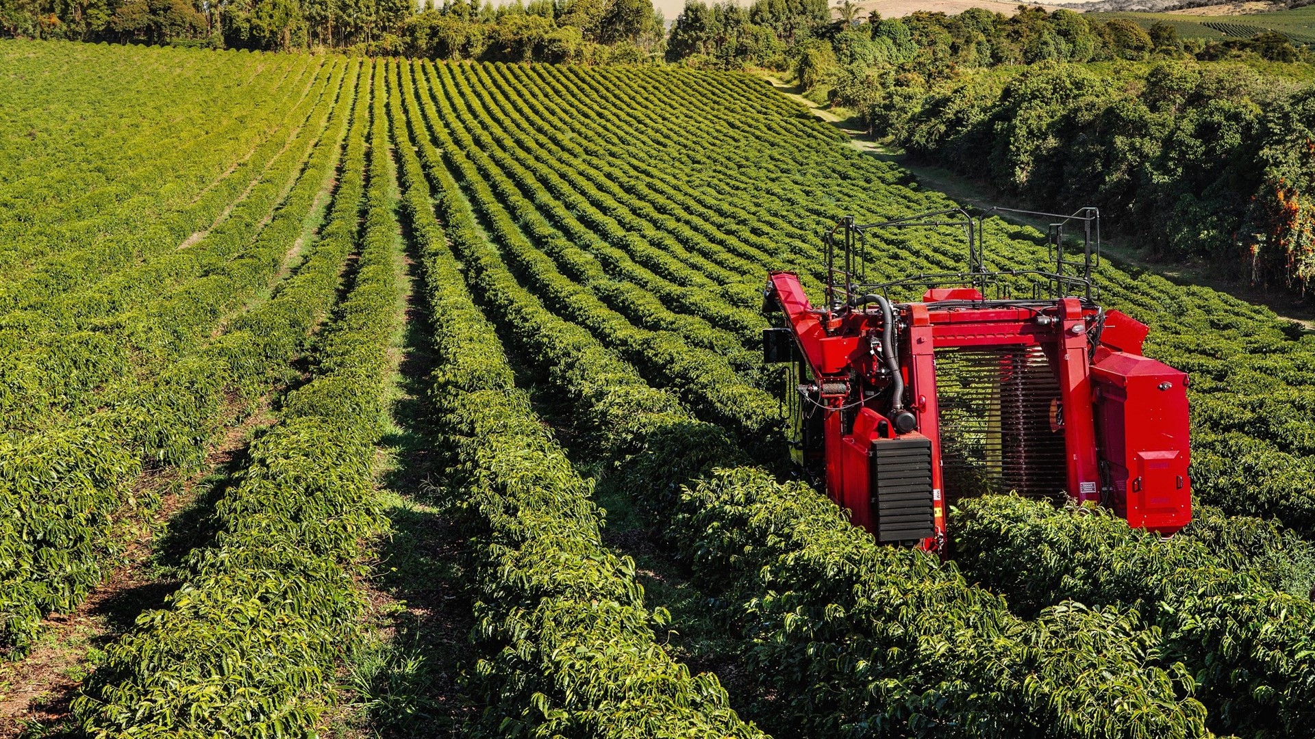 Access to Modern Coffee Machinery